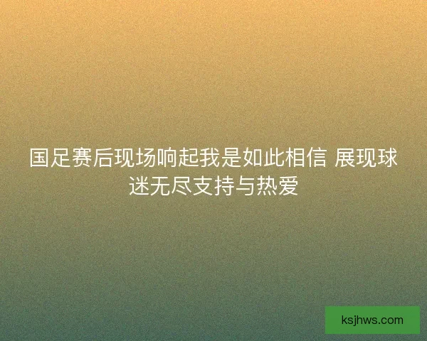 国足赛后现场响起我是如此相信 展现球迷无尽支持与热爱